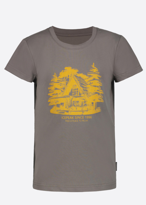 Футболка Leadville Jr Icepeak