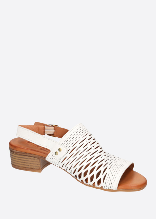 2Go Fashion kingad