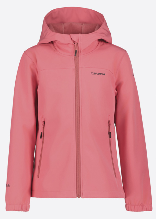 Весенне-осенняя спортивная куртка Kobryn SCH Icepeak