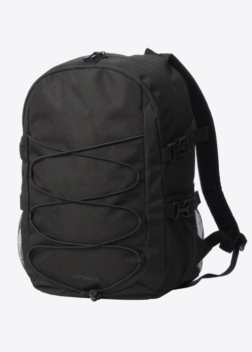 Рюкзак Gloucester Icepeak