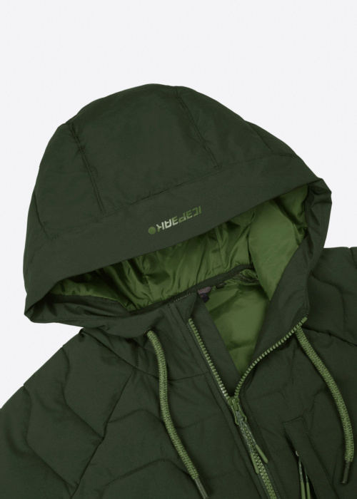 Icepeak pusa Manistee