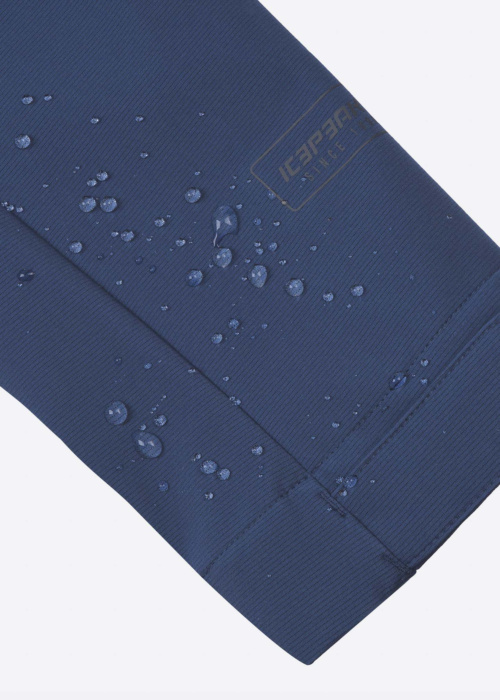 Весенне-осенняя спортивная куртка Buxton Icepeak