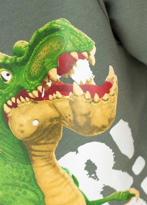 Кофта Malti Gigantosaurus Name It Mini