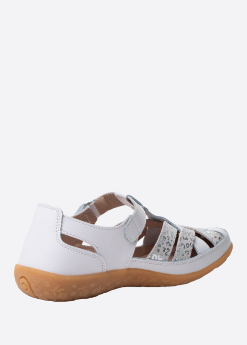 Topway kingad