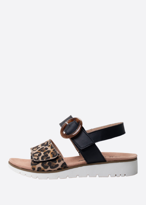 Topway kingad