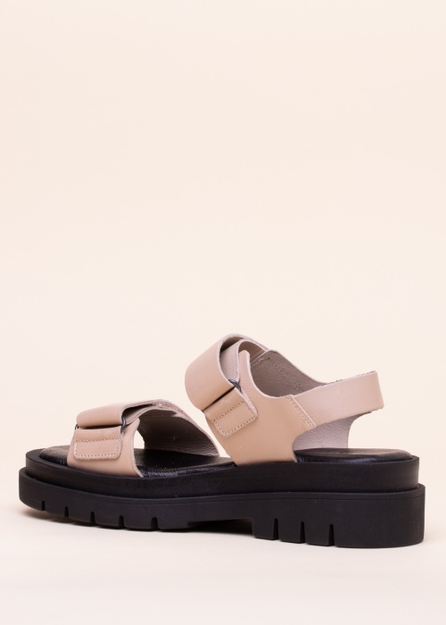 Pavement kingad Olive