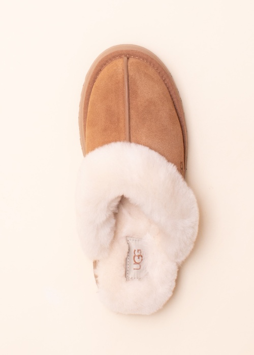 Тапочки Disquette UGG