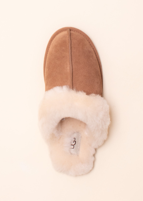 Тапочки Scuffette Ii UGG