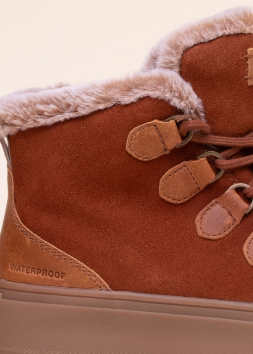 Полусапоги Avril я Cougar