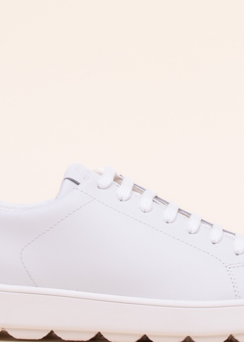 Кроссовки Spherica Geox