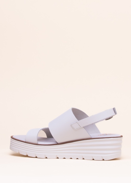 Musse & Cloud lahtised kingad Flavia