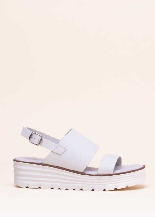 Musse & Cloud lahtised kingad Flavia