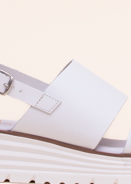 Musse & Cloud lahtised kingad Flavia