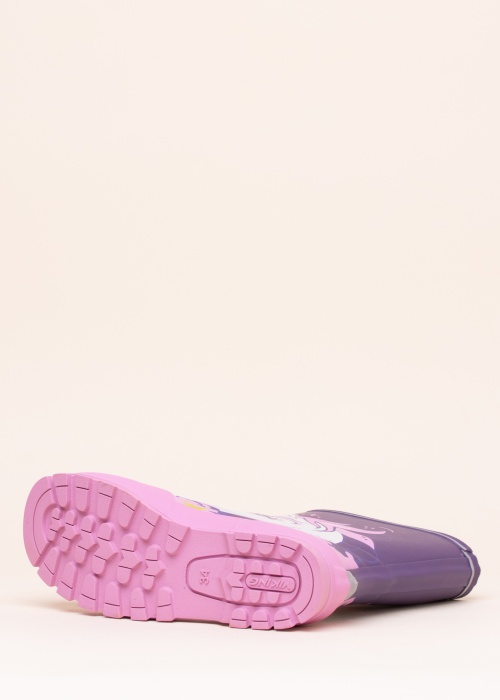 Резиновые сапоги Jolly Печать Viking