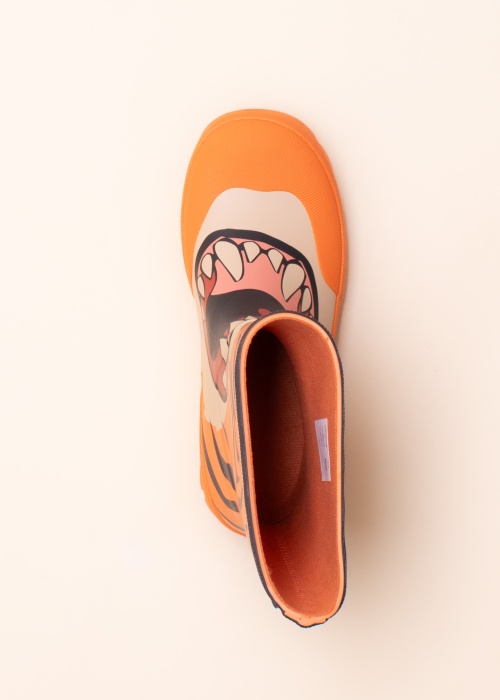 Резиновые сапоги Jolly Печать Viking