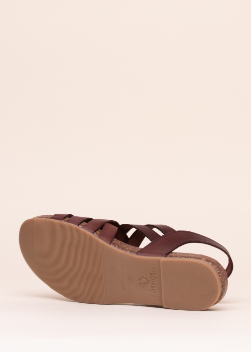 Cosmos lahtised kingad