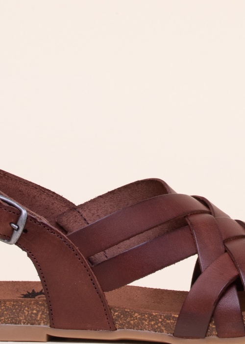 Cosmos lahtised kingad