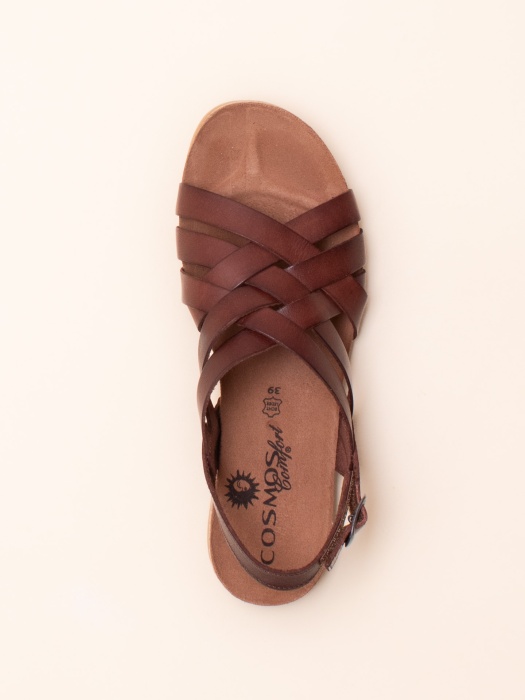 Cosmos lahtised kingad