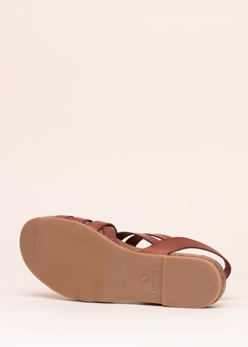 Cosmos lahtised kingad