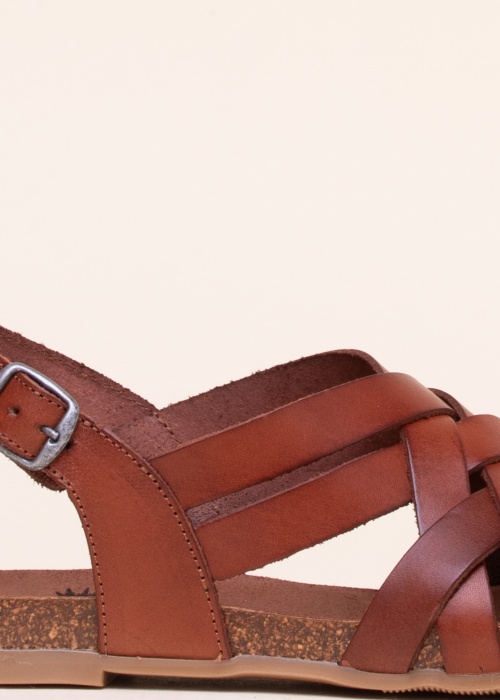 Cosmos lahtised kingad