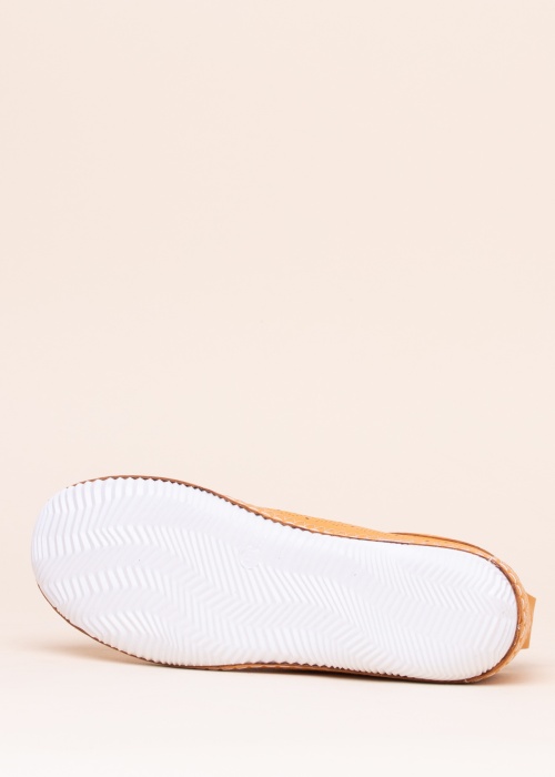 Cosmos vabaajajalatsid