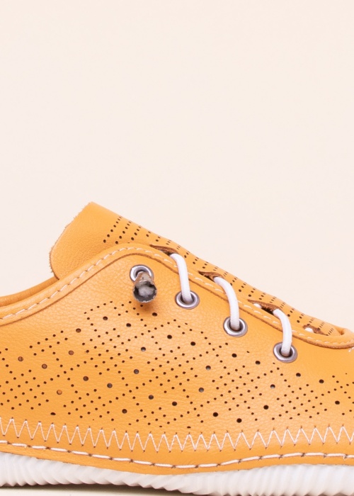 Cosmos vabaajajalatsid