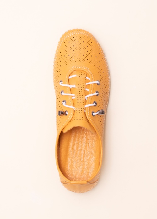 Cosmos vabaajajalatsid