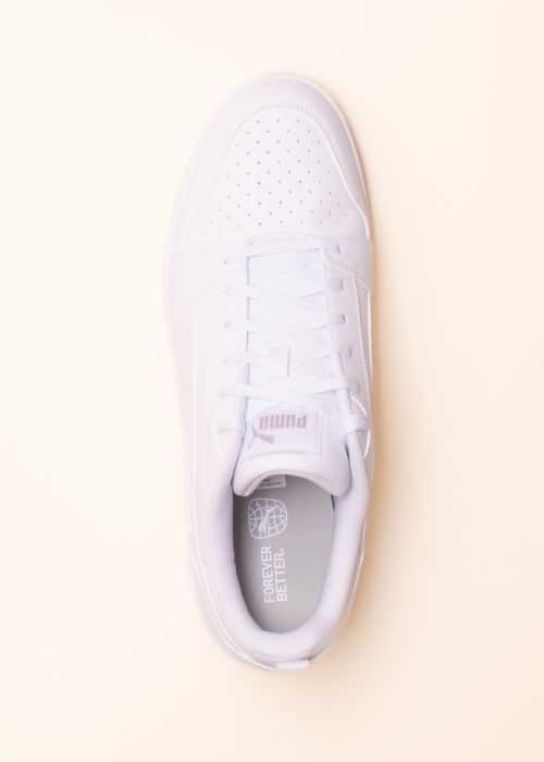 Puma tennised Rebound V6