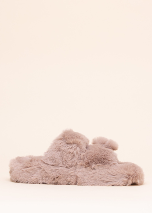 Colors of California sussid