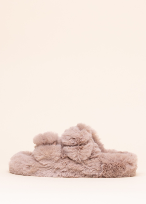 Colors of California sussid