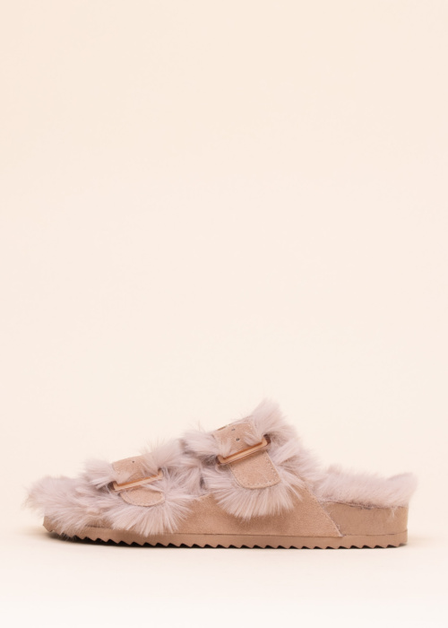 Colors of California sussid