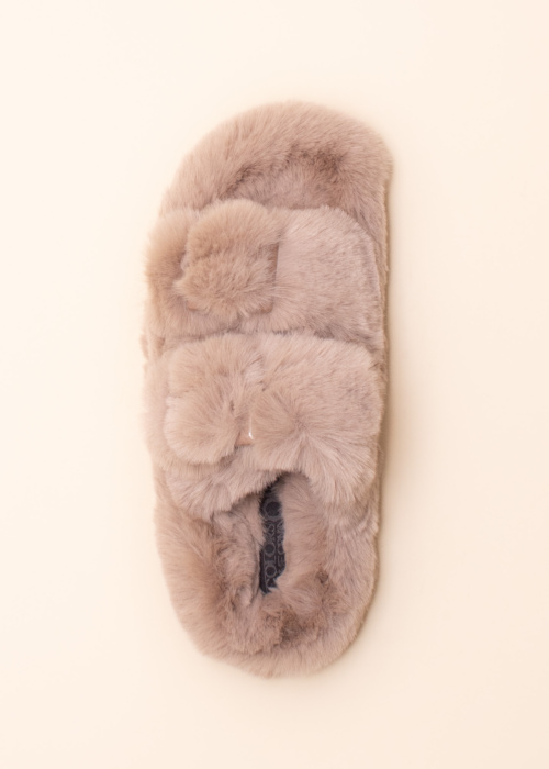 Colors of California sussid