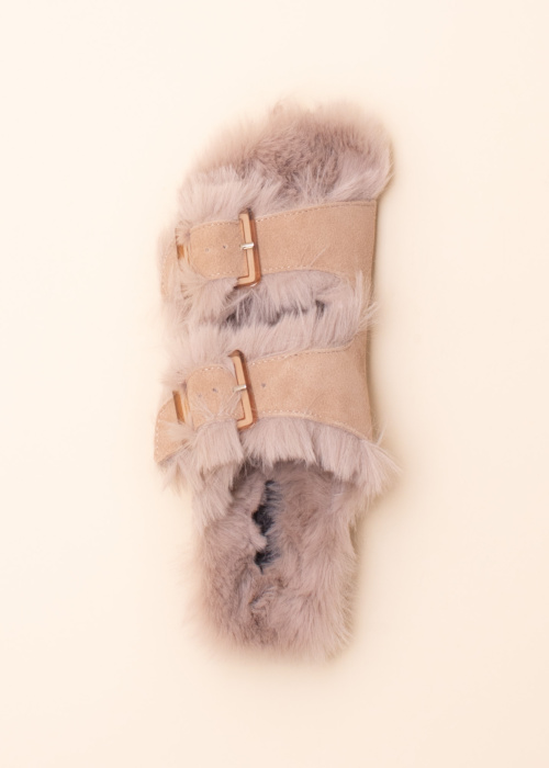 Colors of California sussid