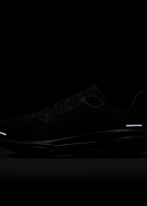 Nike jooksujalatsid Air Zoom Pegasus 41