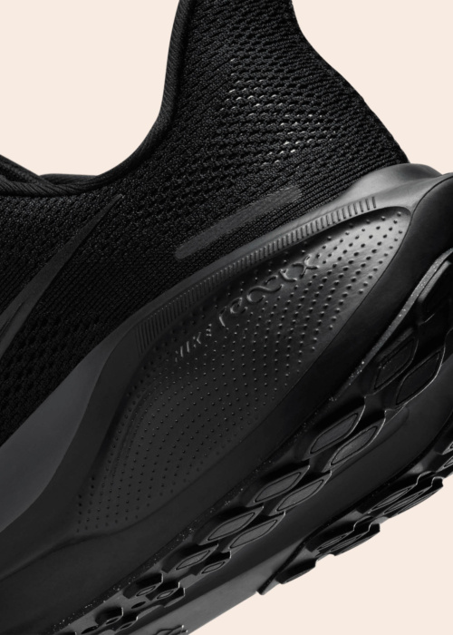 Nike jooksujalatsid Air Zoom Pegasus 41