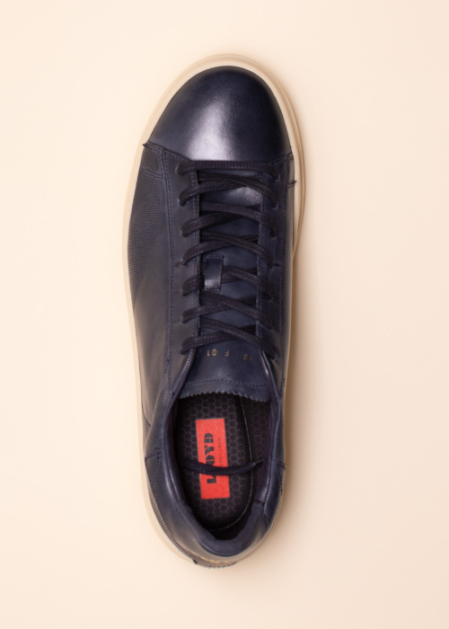 Lloyd tennised Blackwell