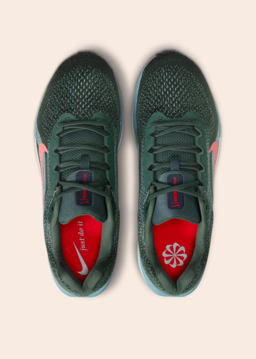 Nike jooksujalatsid Air Winflo 11