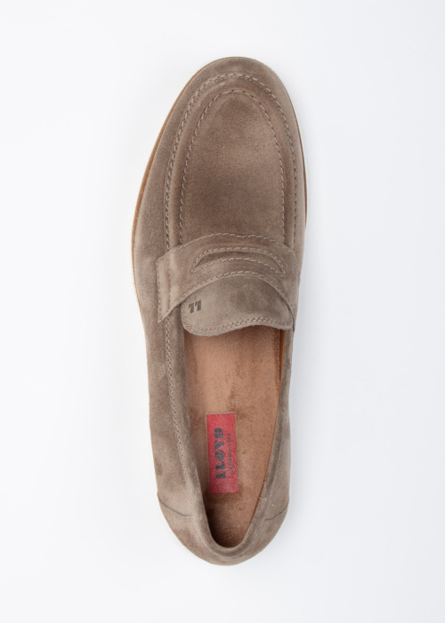 Lloyd kingad Gladstone