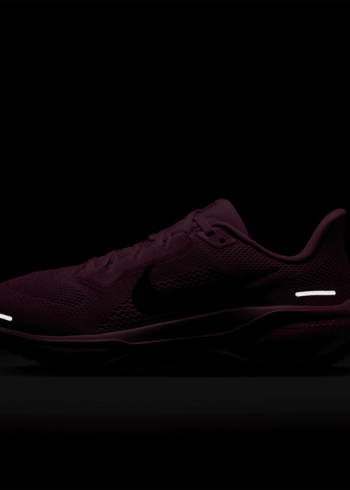 Беговые кроссовки Air Zoom Pegasus 41 Nike