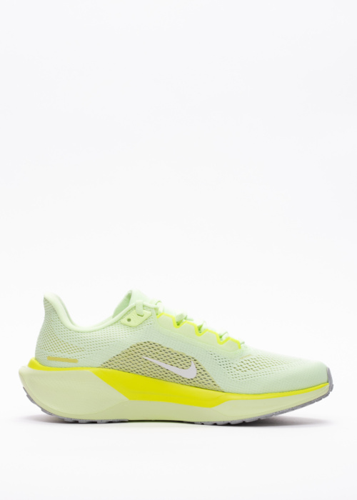 Nike jooksujalatsid Air Zoom Pegasus 41