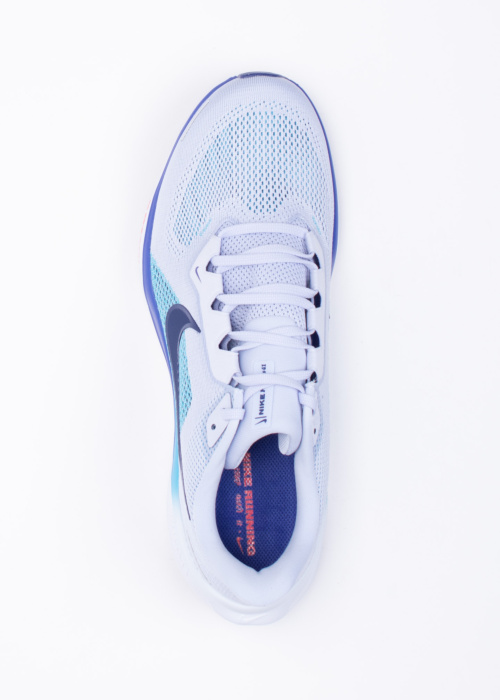 Nike jooksujalatsid Air Zoom Pegasus 41