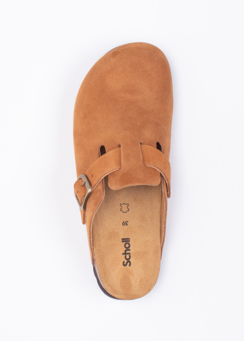 Scholl sandaalid Fae New