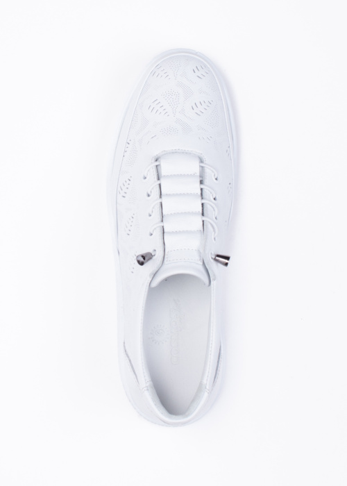 Cosmos vabaajajalatsid