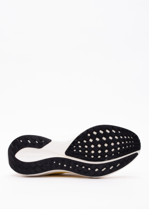 Nike jooksujalatsid Air Zoom Pegasus 41