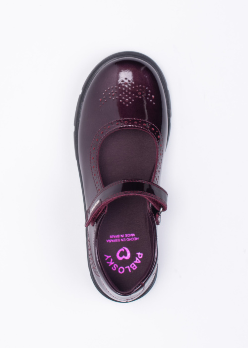 Pablosky kingad Sapiens