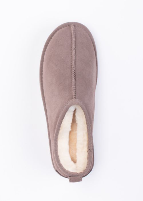 Colors of California sussid