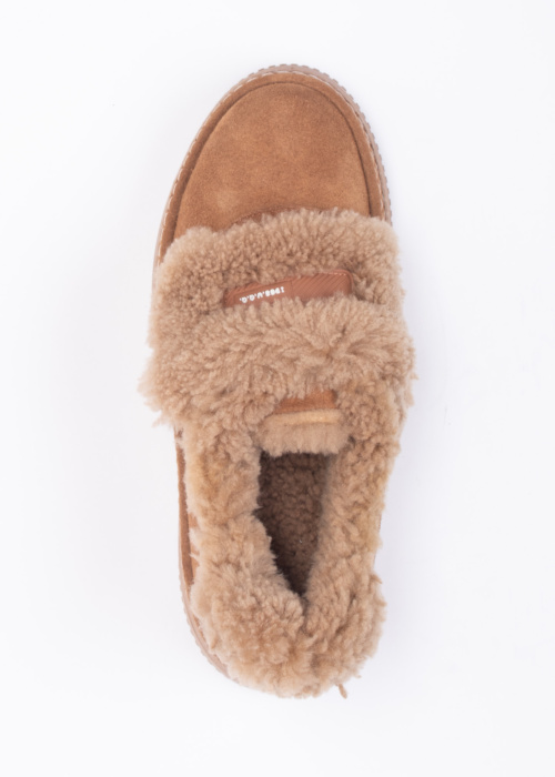 Molly Bessa vabaajajalatsid