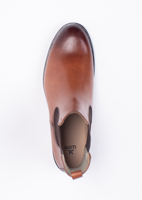 Полусапоги Dara 315 Lloyd