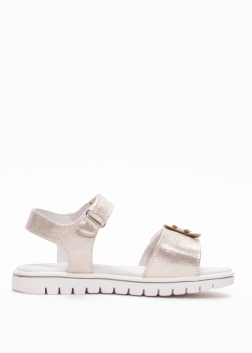 Lumberjack lahtised kingad