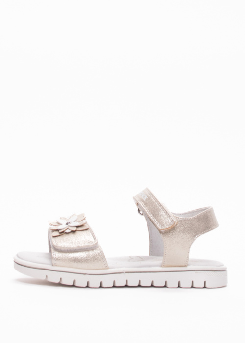 Lumberjack lahtised kingad